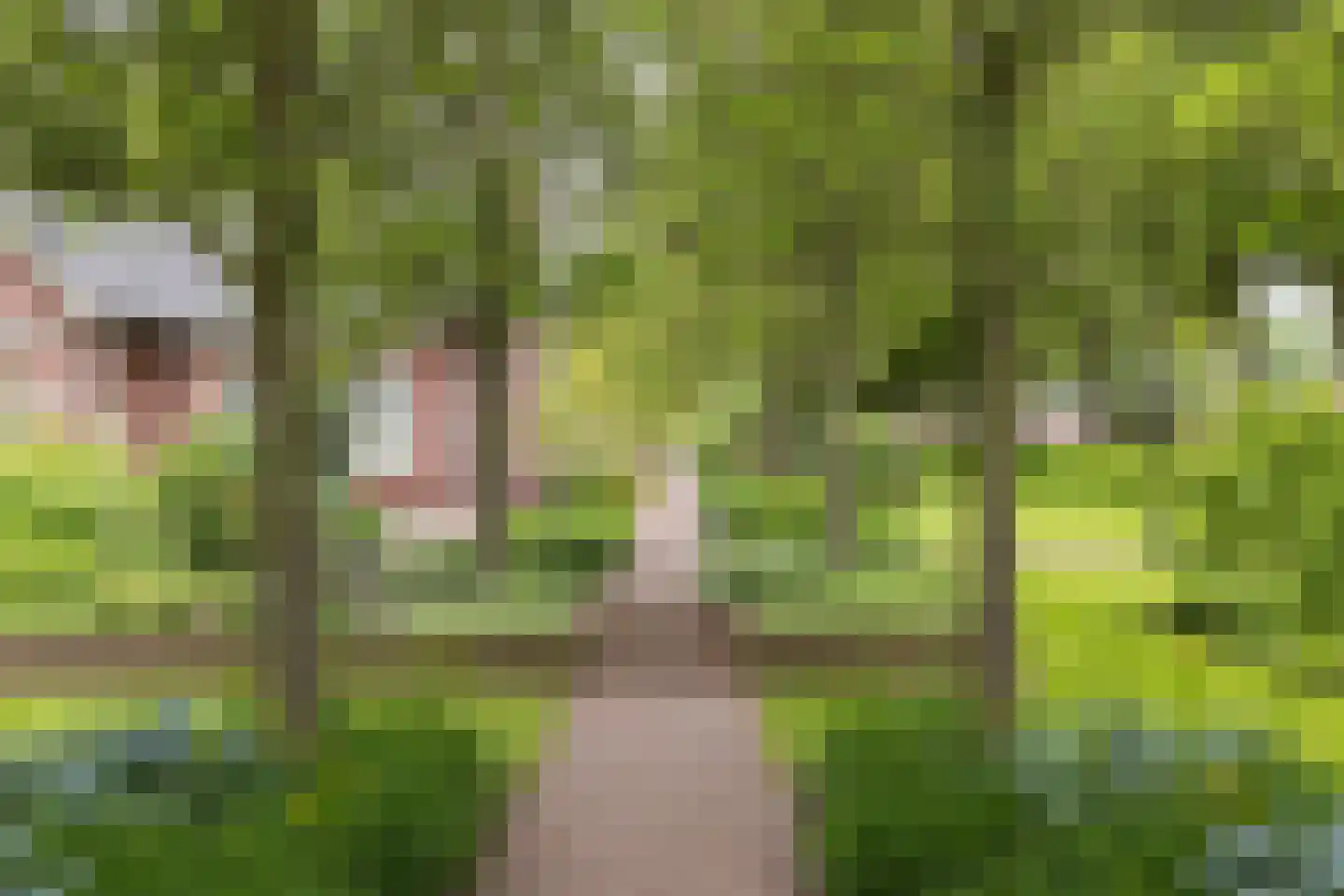 Pagertweg 1 a Neede thumbnail 46