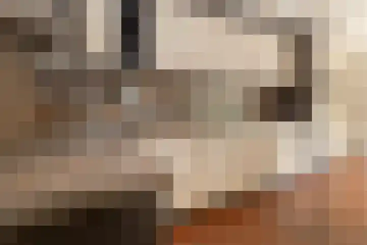 Pagestraat 10 Limbricht thumbnail 16