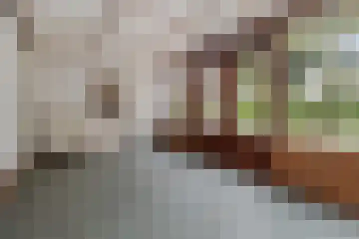 Pagestraat 10 Limbricht thumbnail 19