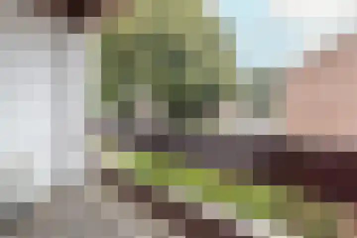 Pagestraat 10 Limbricht thumbnail 26