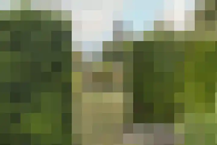 Pagestraat 10 Limbricht thumbnail 42