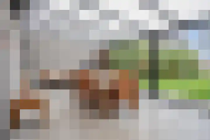 Pagestraat 19 Limbricht thumbnail 22