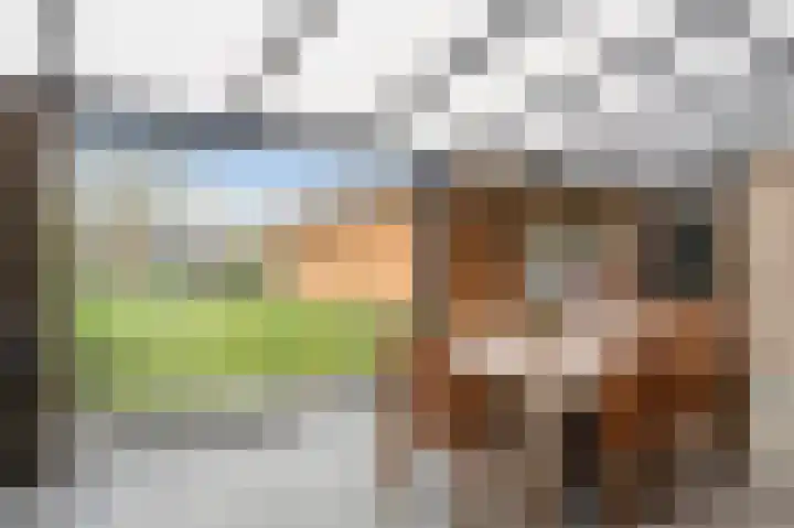 Pagestraat 19 Limbricht thumbnail 24