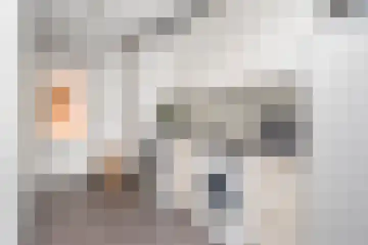 Pagestraat 19 Limbricht thumbnail 25