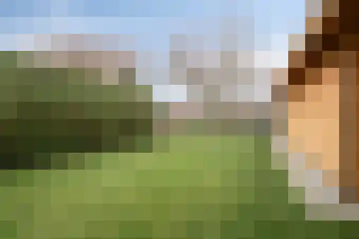 Pagestraat 19 Limbricht thumbnail 28