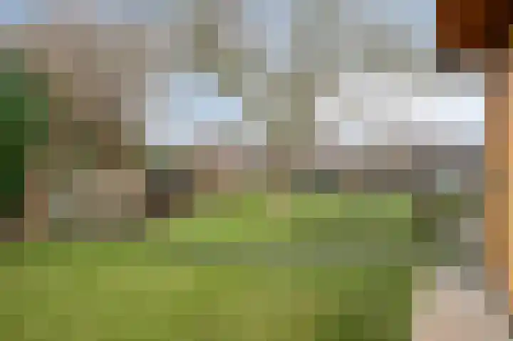 Pagestraat 19 Limbricht thumbnail 32