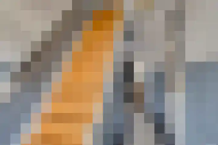 Pagestraat 21 Tilburg thumbnail 15