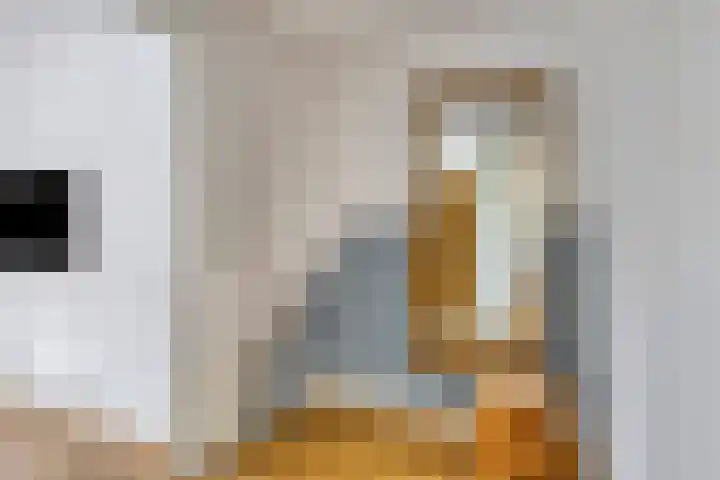 Pagestraat 21 Tilburg thumbnail 16