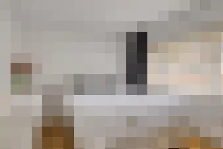 Pagestraat 21 Tilburg thumbnail 17