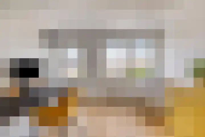 Pagestraat 21 Tilburg thumbnail 19