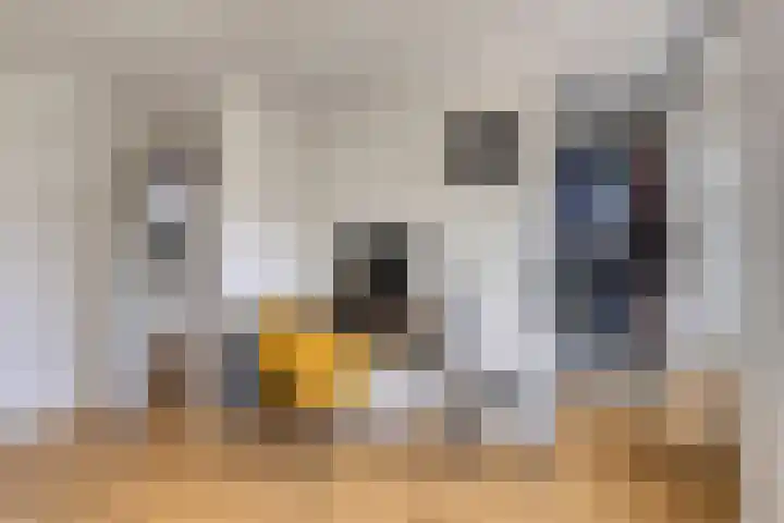Pagestraat 21 Tilburg thumbnail 20