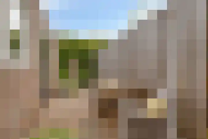 Pagestraat 21 Tilburg thumbnail 23