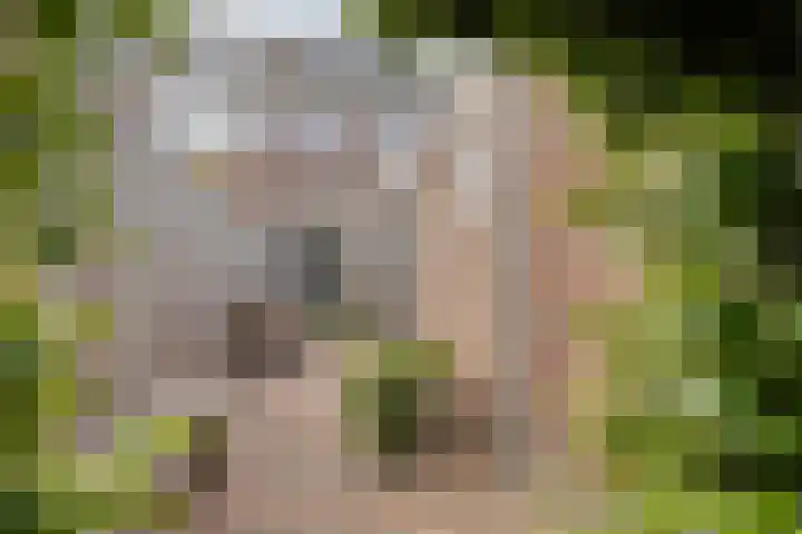 Pagestraat 21 Tilburg thumbnail 25