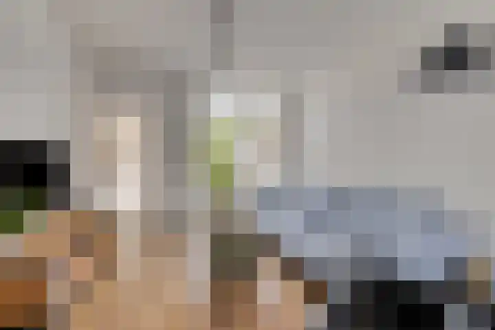 Pagestraat 21 Tilburg thumbnail 4