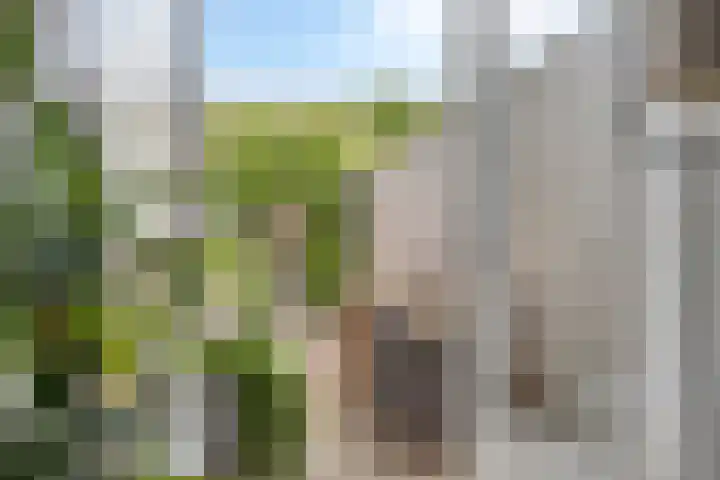 Pagestraat 21 Tilburg thumbnail 6