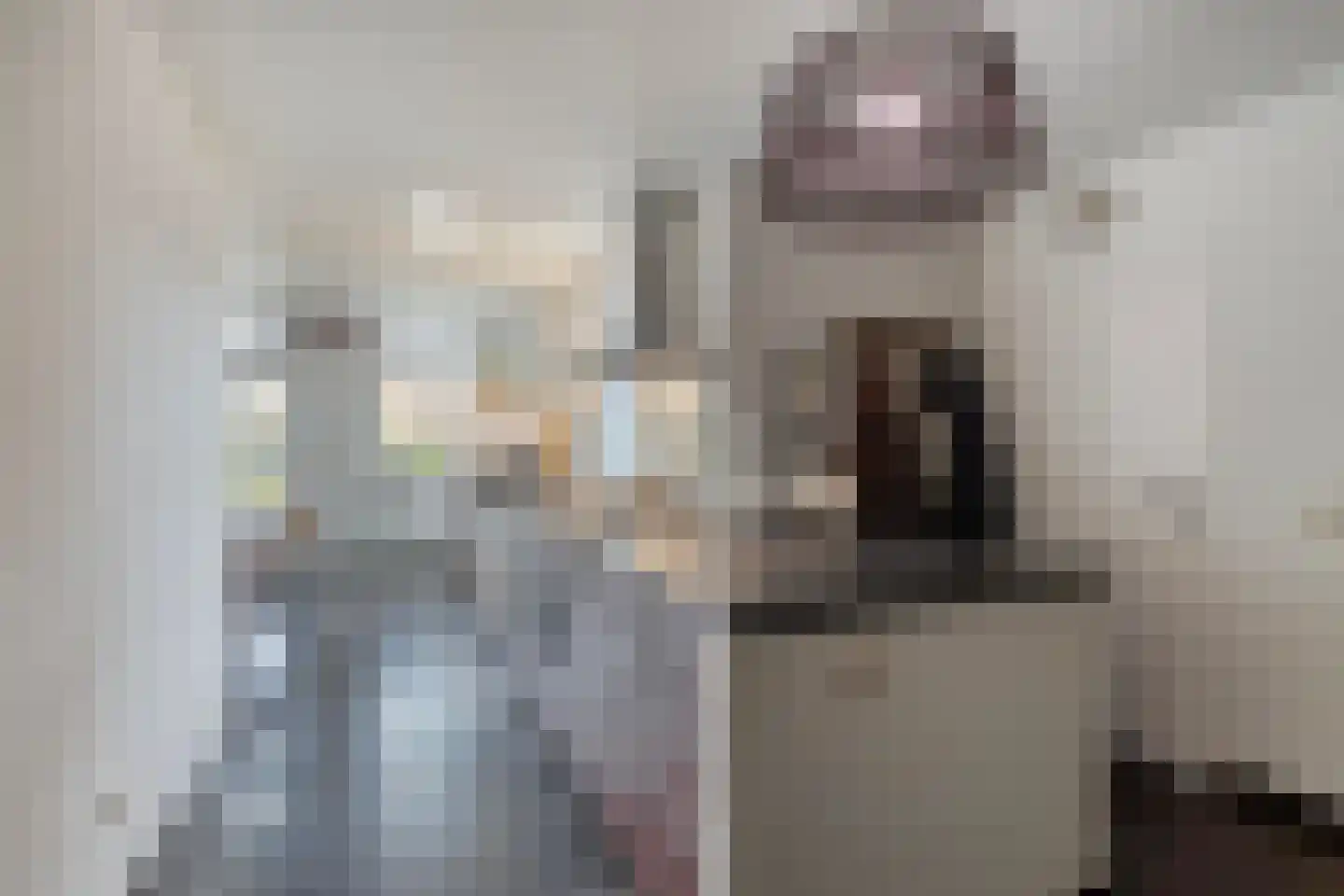 Pagestraat 3 Limbricht thumbnail 15