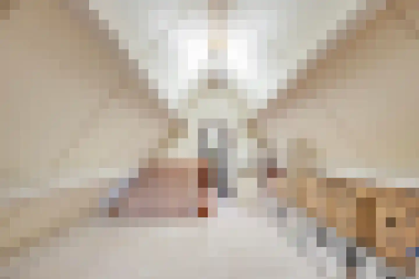 Pagestraat 3 Limbricht thumbnail 25