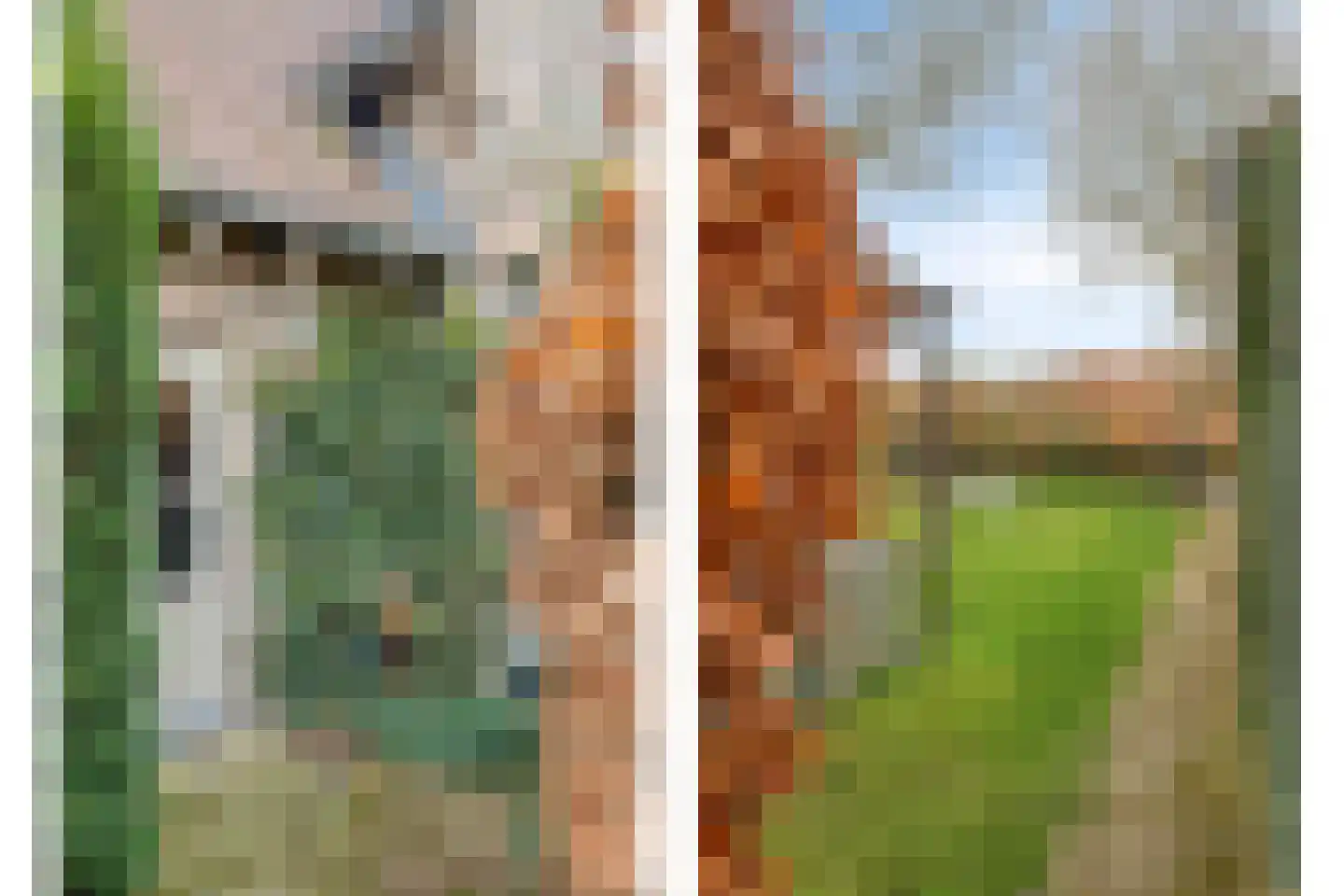 Pagestraat 3 Limbricht thumbnail 29