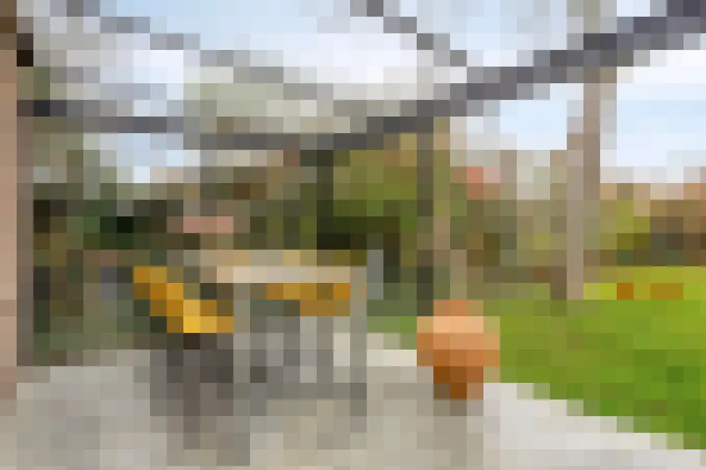 Pagestraat 3 Limbricht thumbnail 32