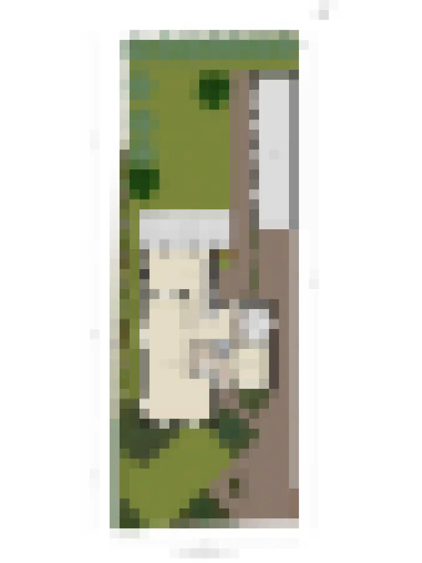 Pagestraat 3 Limbricht thumbnail 35