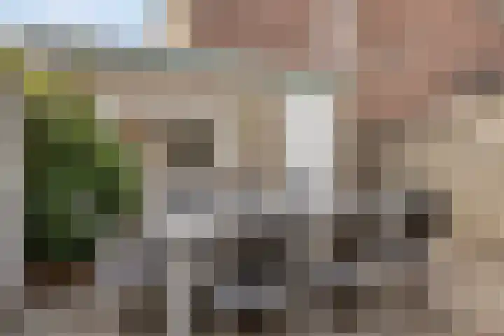 Pagestraat 30 Tilburg thumbnail 32