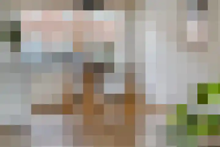 Pagestraat 30 Tilburg thumbnail 8