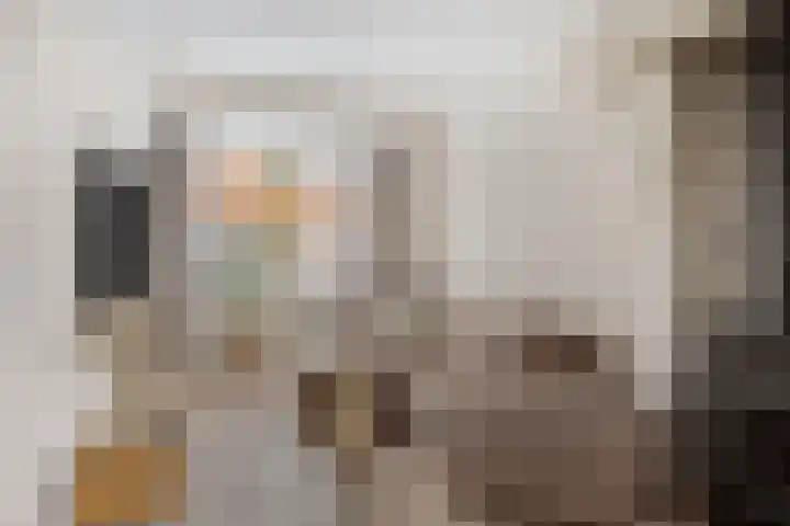 Pagestraat 31 Tilburg thumbnail 11
