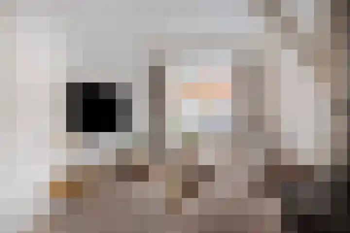 Pagestraat 31 Tilburg thumbnail 12