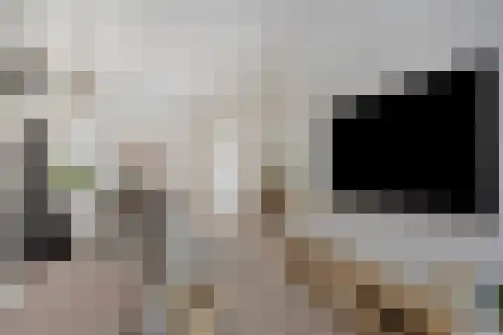 Pagestraat 31 Tilburg thumbnail 14