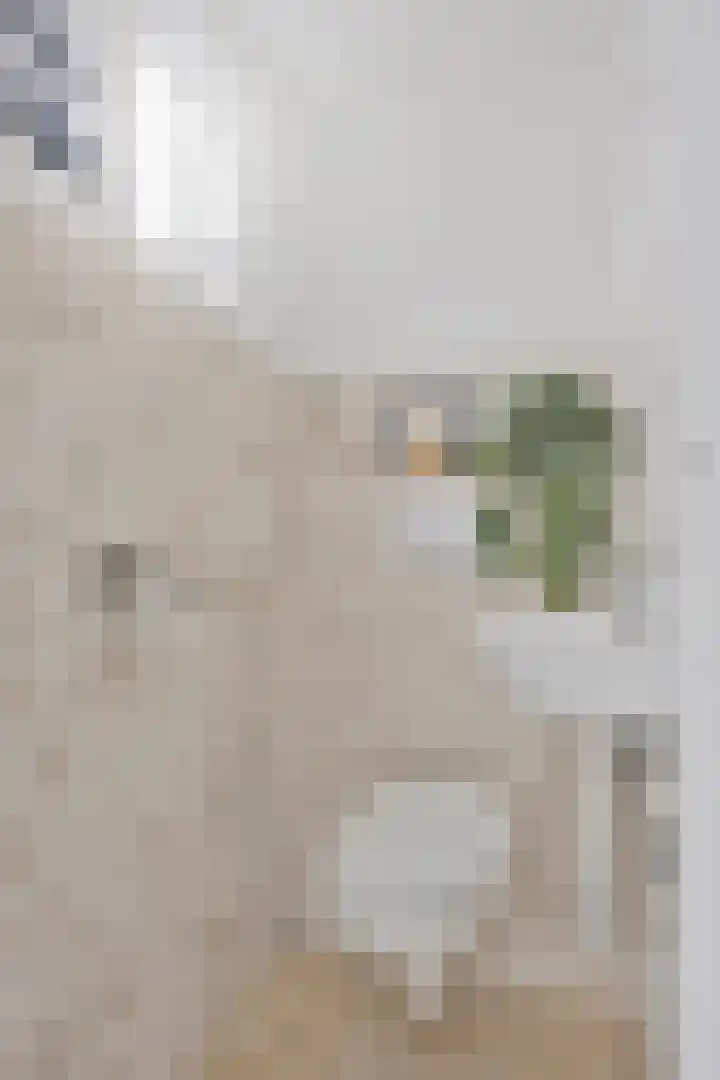 Pagestraat 31 Tilburg thumbnail 27