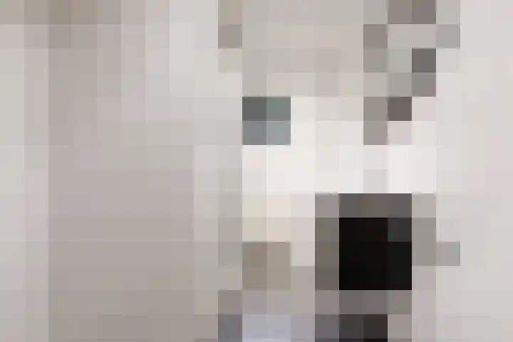 Pageveld 23 Limmen thumbnail 14