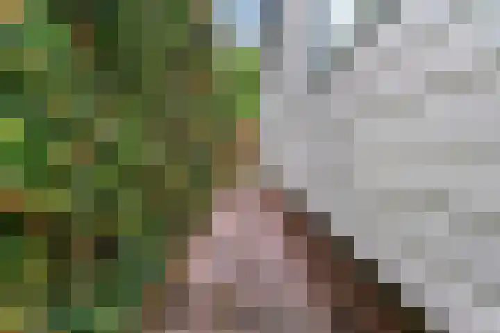 Pageveld 23 Limmen thumbnail 26