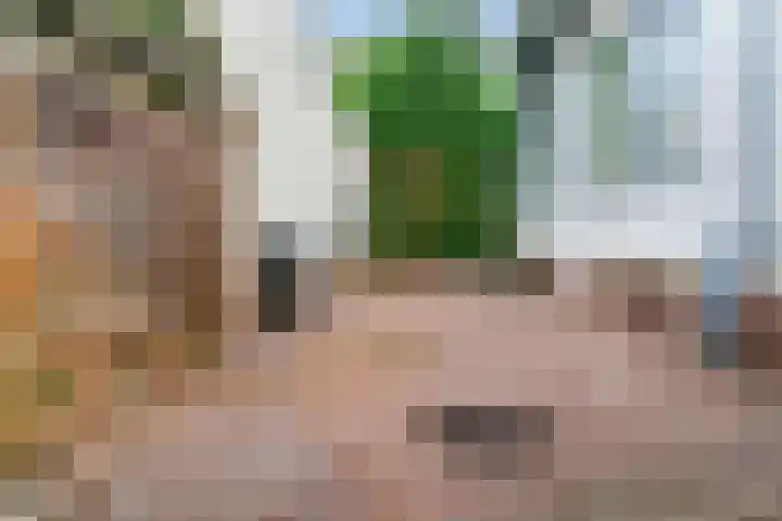 Pageveld 23 Limmen thumbnail 27