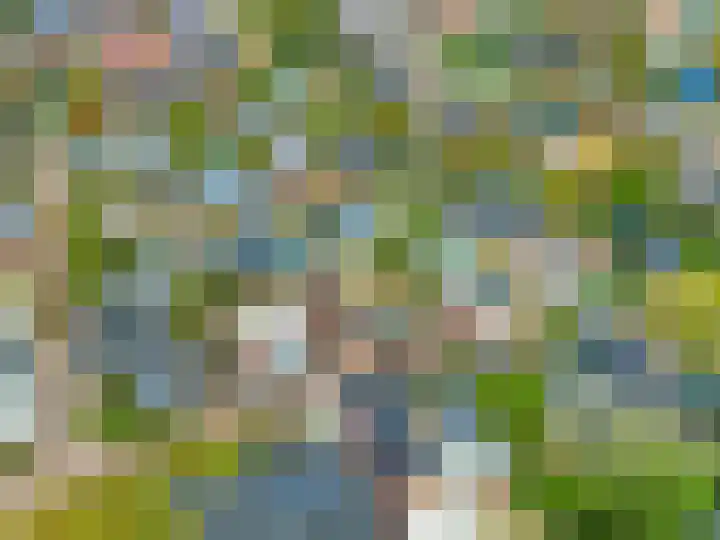 Pageveld 23 Limmen thumbnail 36