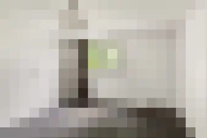 Pageveld 26 Limmen thumbnail 20
