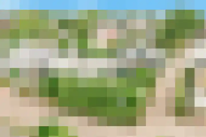 Pageveld 26 Limmen thumbnail 41
