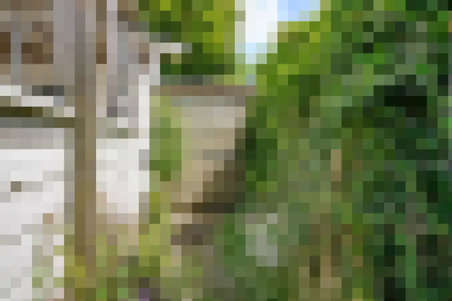 Pageveld 29 Limmen thumbnail 29