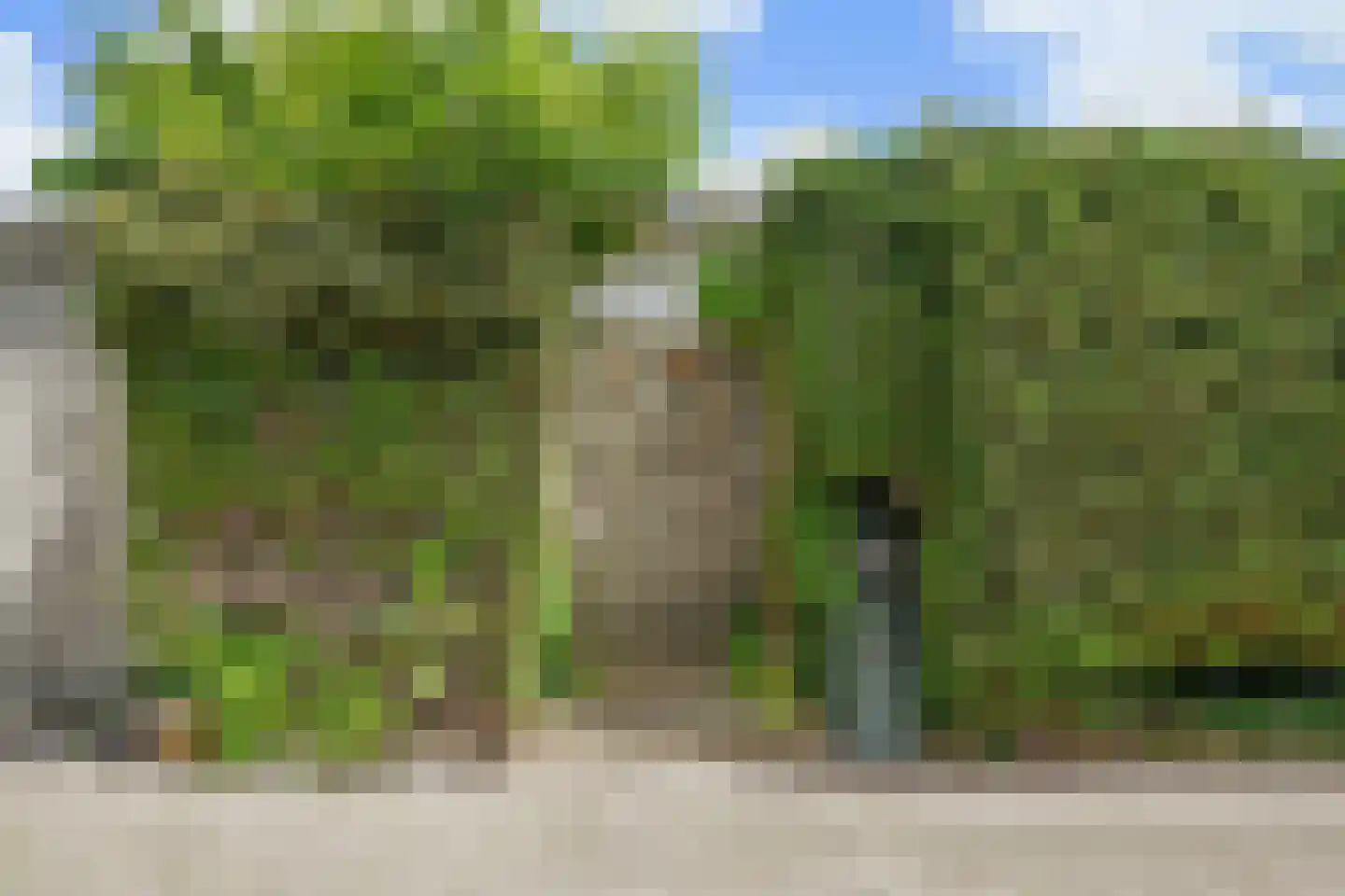 Pageveld 29 Limmen thumbnail 36