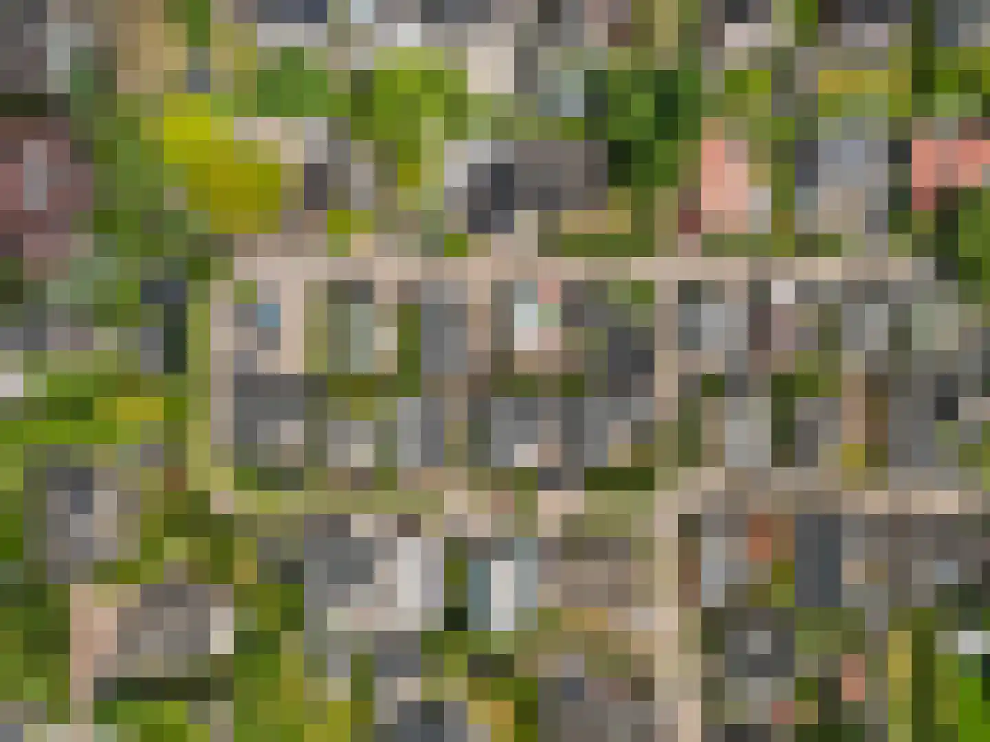 Pageveld 29 Limmen thumbnail 38