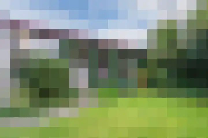 Pageveld 33 Limmen thumbnail 27