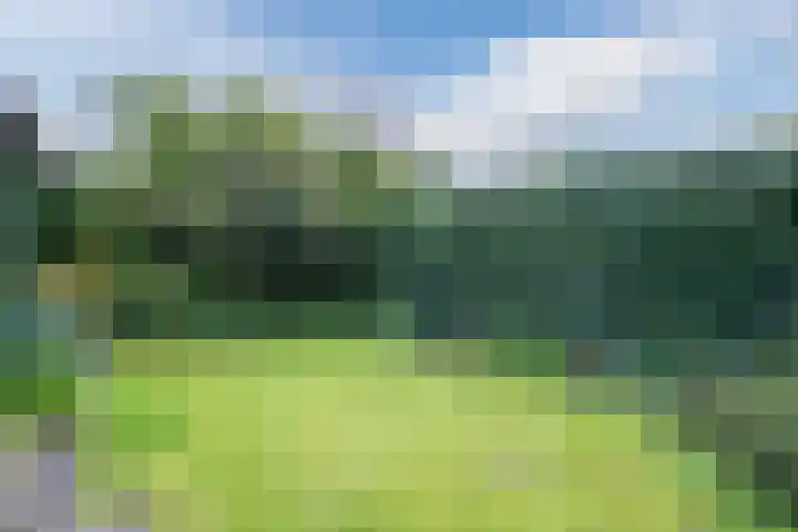 Pageveld 33 Limmen thumbnail 30