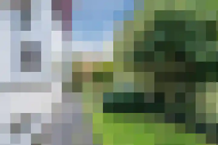 Pageveld 33 Limmen thumbnail 31