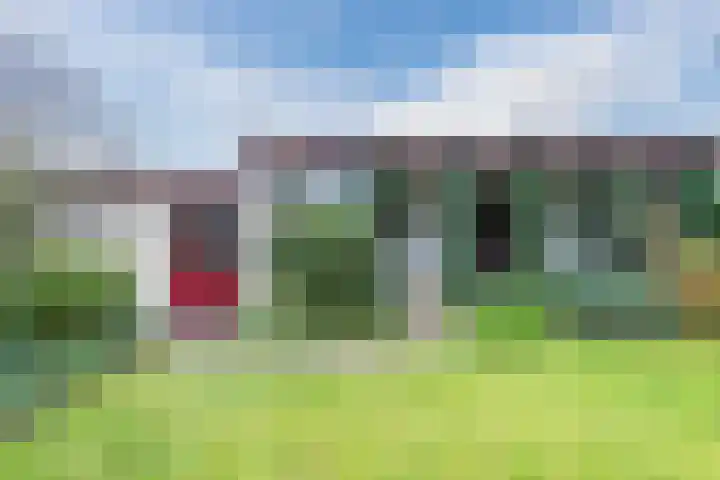 Pageveld 33 Limmen thumbnail 32