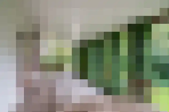 Pageveld 33 Limmen thumbnail 7