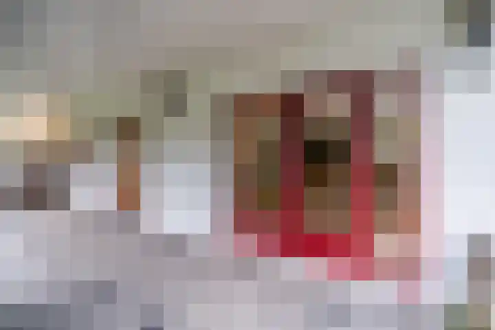 Pageveld 33 Limmen thumbnail 8