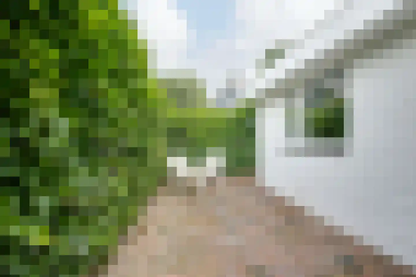 Pageveld 34 Limmen thumbnail 27