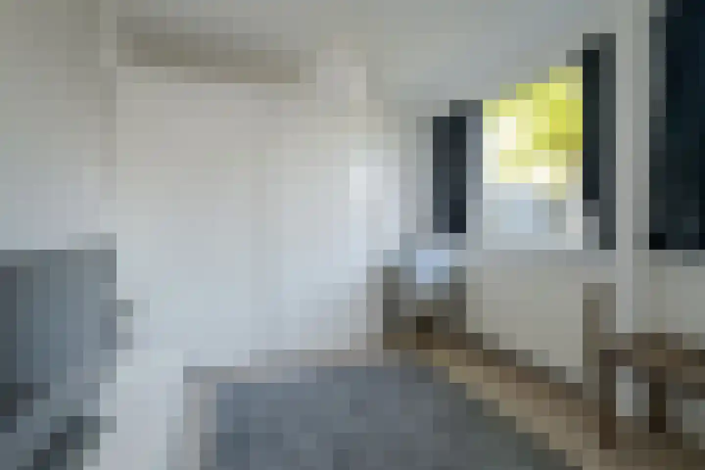 Pagnevaartdreef 4 Bosschenhoofd thumbnail 28