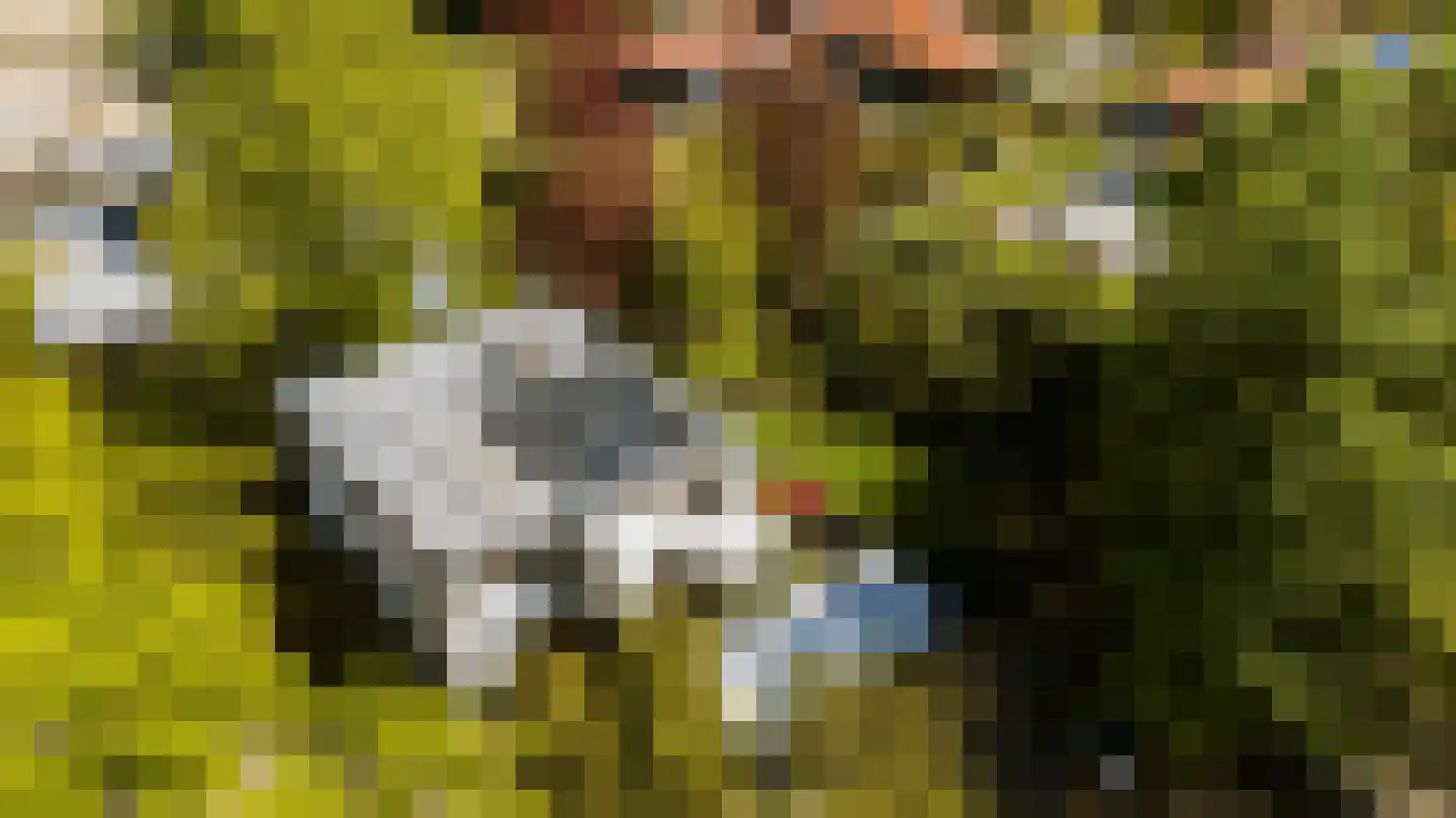 Pagnevaartdreef 4 Bosschenhoofd thumbnail 35