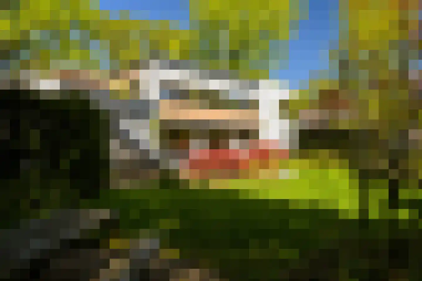 Pagnevaartdreef 4 Bosschenhoofd thumbnail 36
