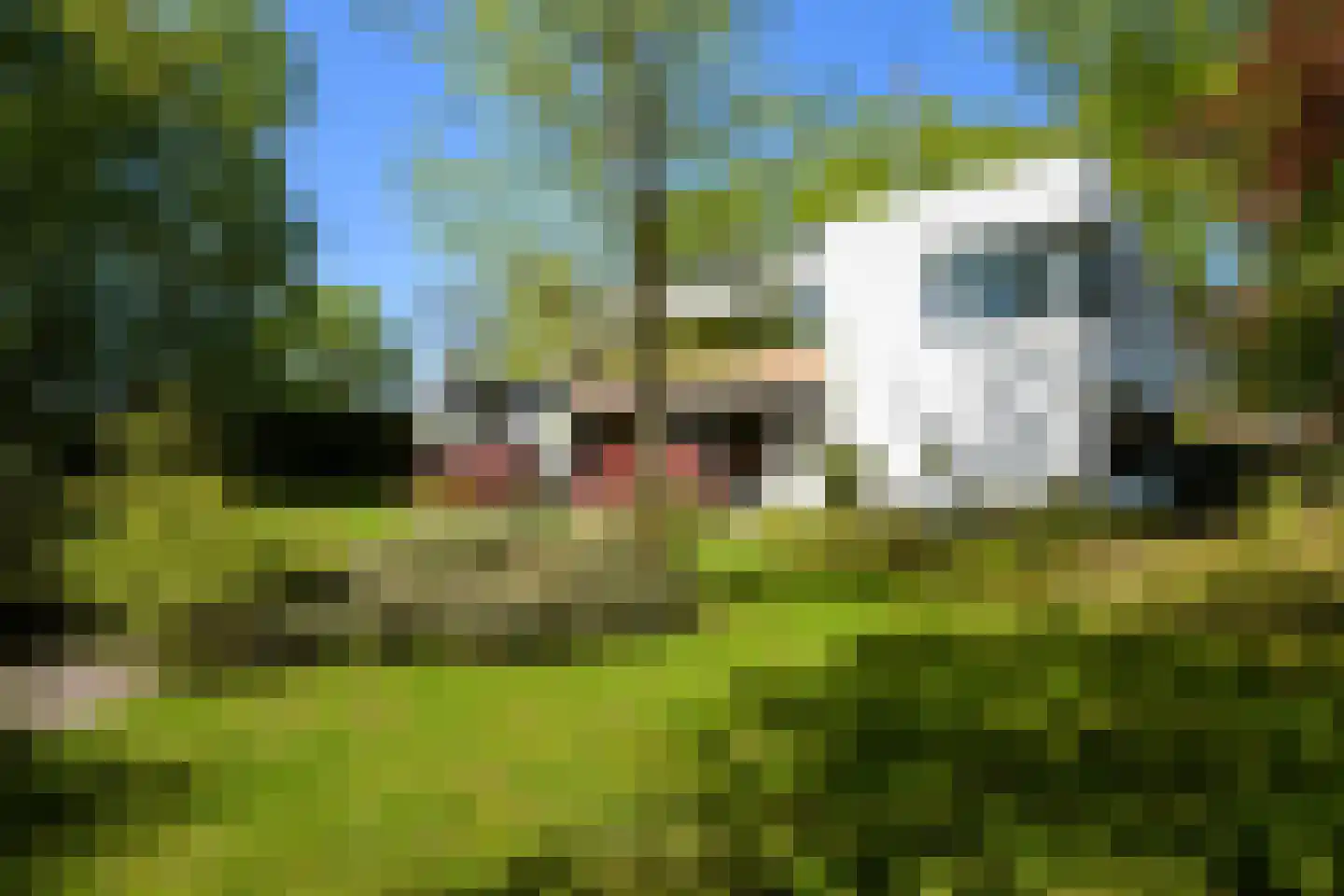 Pagnevaartdreef 4 Bosschenhoofd thumbnail 38